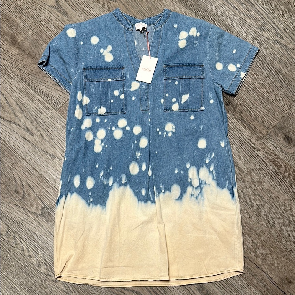 Blue and Cream Denim Dress